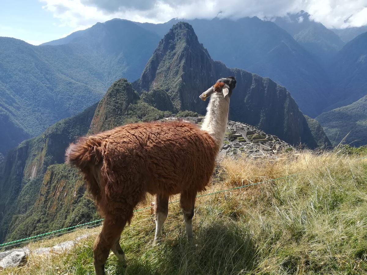 Hotel Golden Sunrise Machupicchu Exterior foto